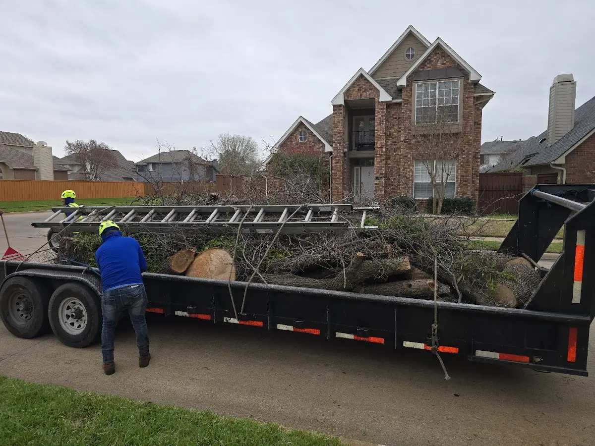 Expert Lot Clearing with proper safety equipment in Arden